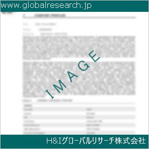 グローバルリサーチ調査資料のイメージ